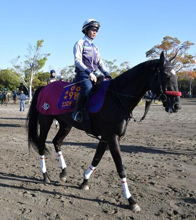 　レース向け調整するエコロデュエル