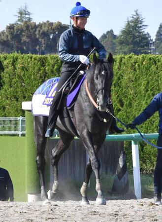 　岩田望との新コンビでクラシック制覇を目指すゾロアストロ