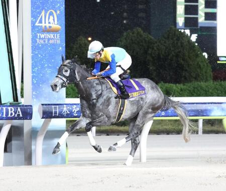 東京スプリントを制したドラゴンウェルズと戸崎