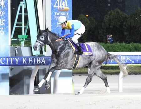 東京スプリントを制したドラゴンウェルズと戸崎