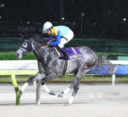 東京スプリントを制したドラゴンウェルズと戸崎