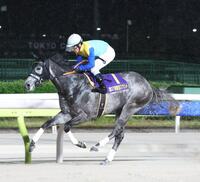 東京スプリントを制したドラゴンウェルズと戸崎