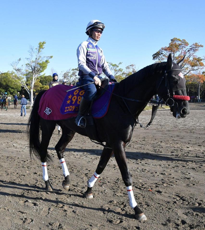 　レース向け調整するエコロデュエル