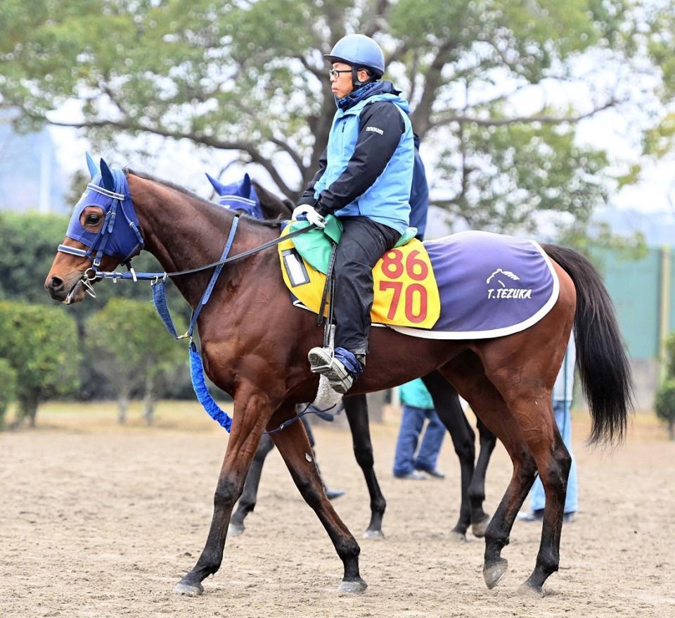 カネラフィーナ