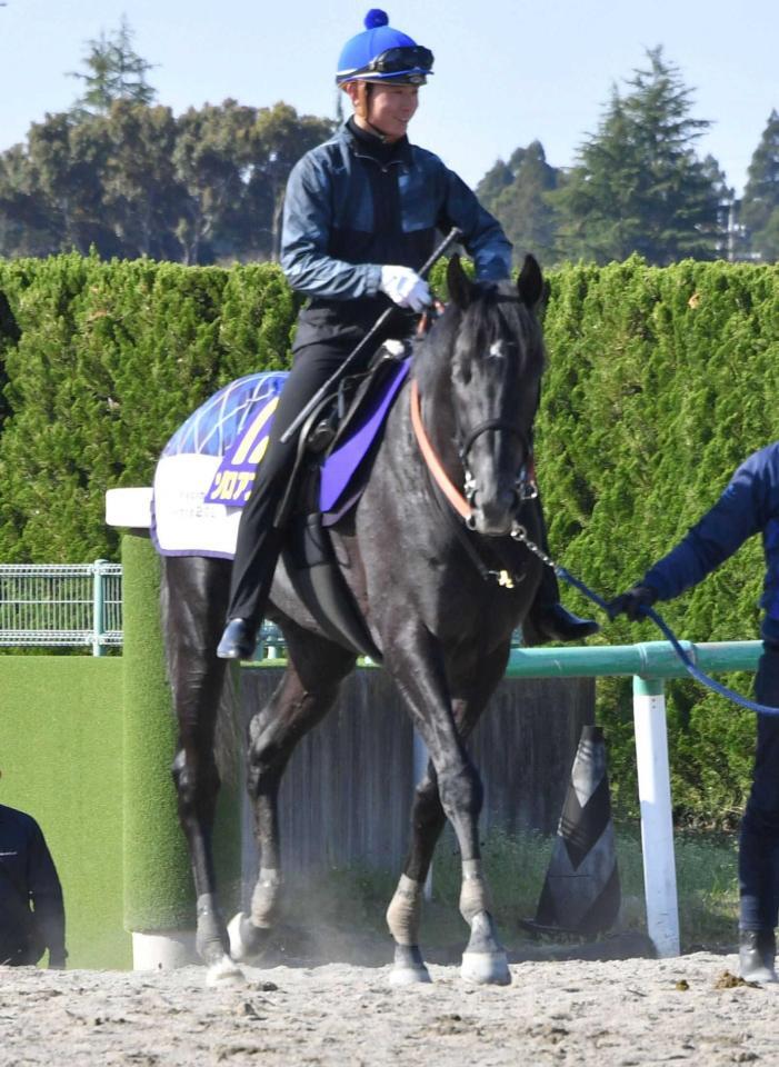 　岩田望との新コンビでクラシック制覇を目指すゾロアストロ