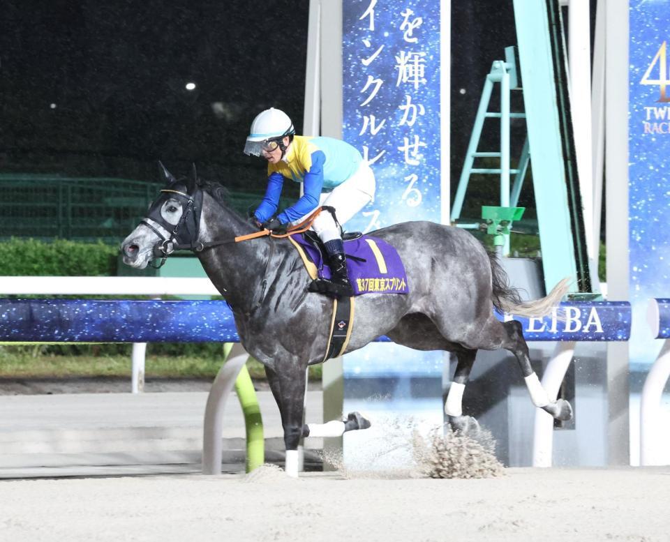 東京スプリントを制したドラゴンウェルズと戸崎