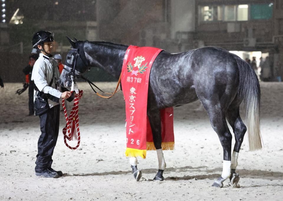東京スプリントを制したドラゴンウェルズ