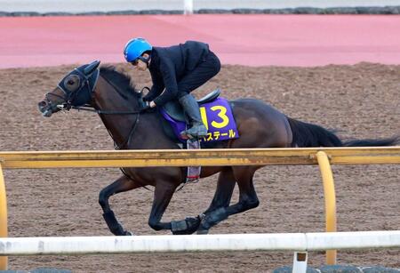 　軽やかに栗東ＣＷを駆け抜けたバステール