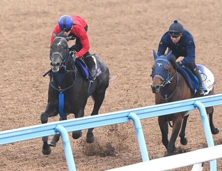 　美浦Ｗで鋭い切れ味を発揮したリアライズシリウス（左）＝撮影・園田高夫