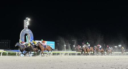 果敢にハナを取るも２着に敗れたサントノーレ