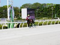 大差の逃げ切りで重賞初勝利のミルトイブニング（撮影・中山伸治）