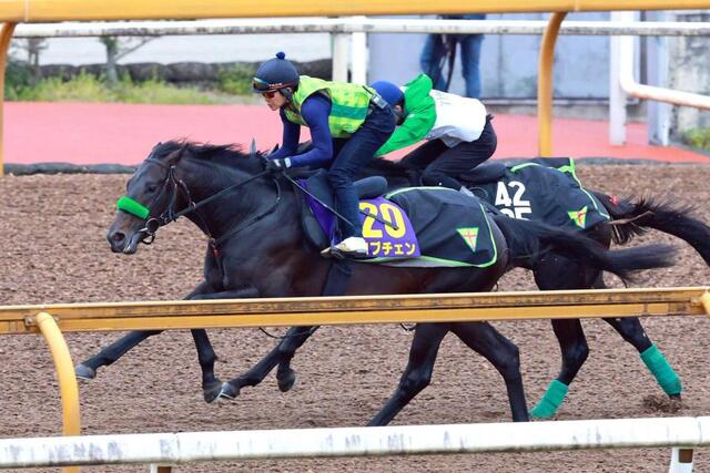皐月賞】ロブチェン2度目G1制覇へ加速グンッ 桜花賞＆皐月賞連勝へ
