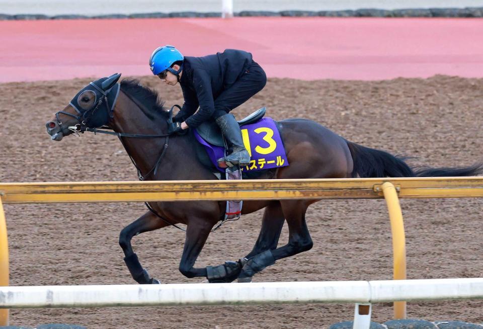　軽やかに栗東ＣＷを駆け抜けたバステール