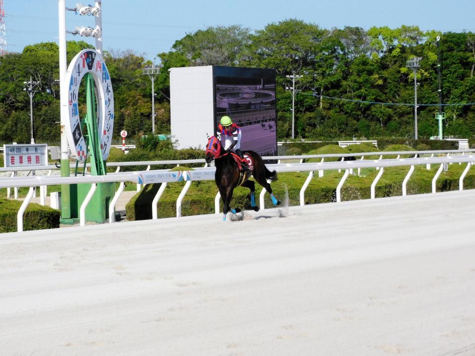 大差の逃げ切りで重賞初勝利のミルトイブニング（撮影・中山伸治）