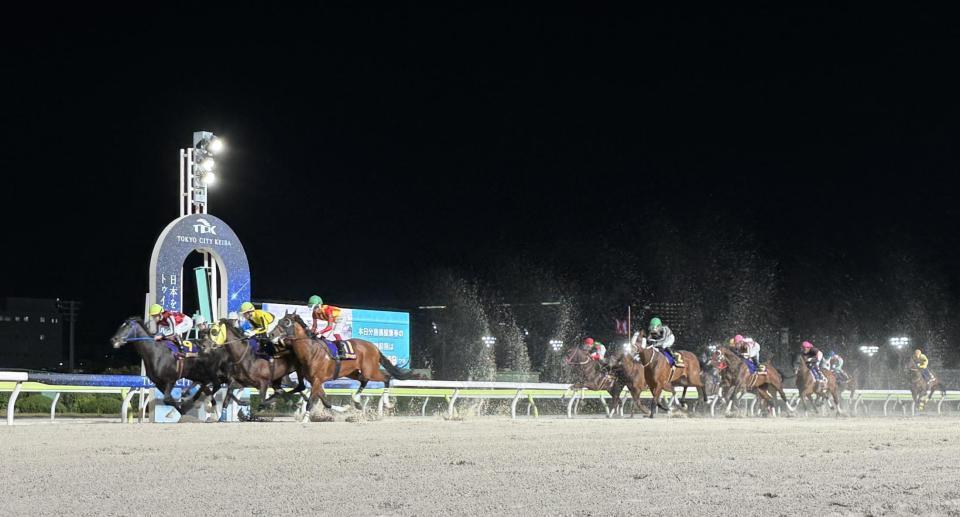 果敢にハナを取るも２着に敗れたサントノーレ