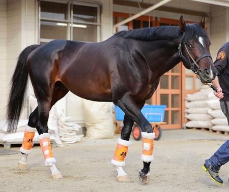 ジャンタルマンタル