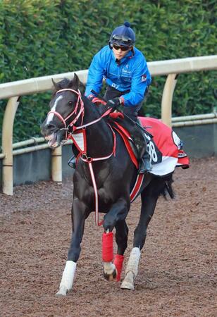 ホウオウプロサンゲ