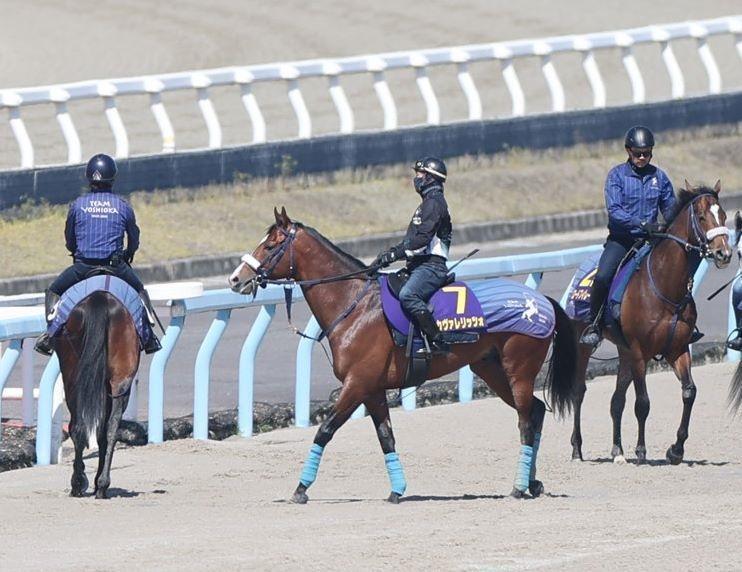 カヴァレリッツォ＝栗東トレセン（撮影・中田匡峻）