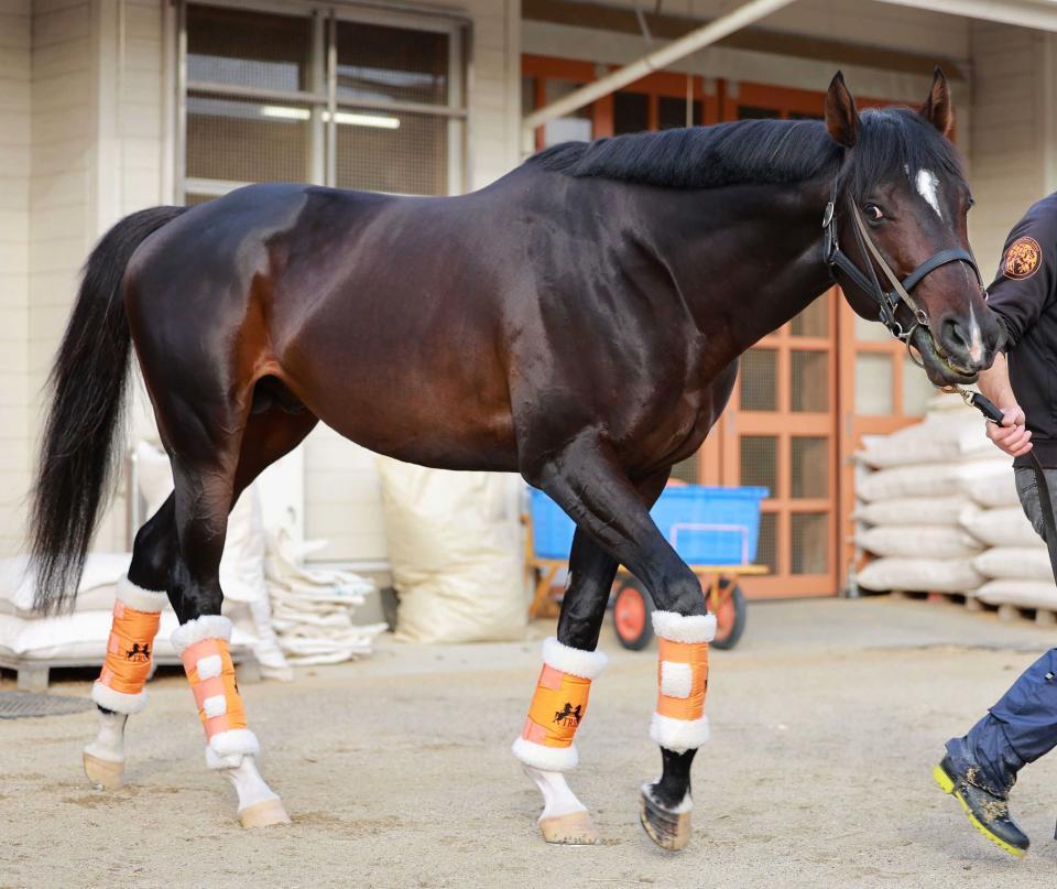 ジャンタルマンタル