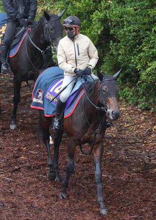 パントルナイーフ