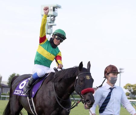 中山グランドジャンプを圧勝したエコロデュエルの馬上で拳を突き上げる草野