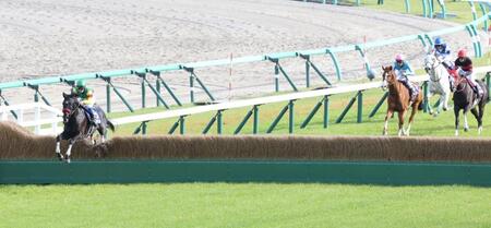 第２８回中山グランドジャンプを勝利したエコロデュエル（左）