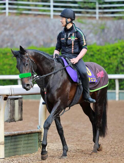 皐月賞】ロブチェン 前走以上の仕上がり強調 房野助手「納得のいく状態