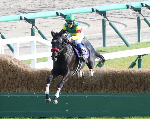 中山グランドJ】1番人気エコロデュエルがレコード＆大差勝ちで連覇