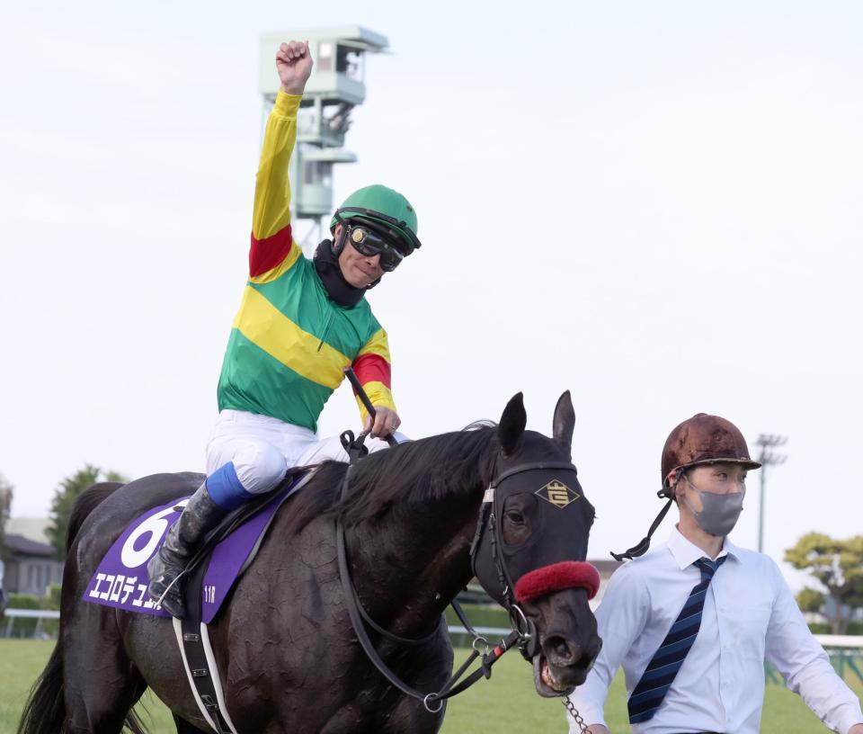 中山グランドジャンプを圧勝したエコロデュエルの馬上で拳を突き上げる草野