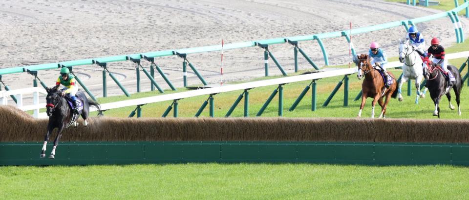 後続に大差をつけ最終障害を飛越するエコロデュエル（左）