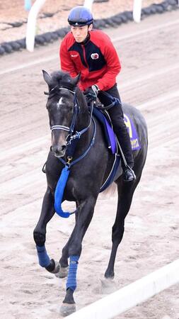 　１冠目奪取へ準備ＯＫのリアライズシリウス