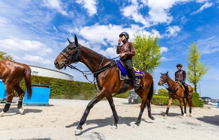 　マテンロウゲイル