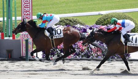 アイビーチーキーを振り切ったアラクラン（左）