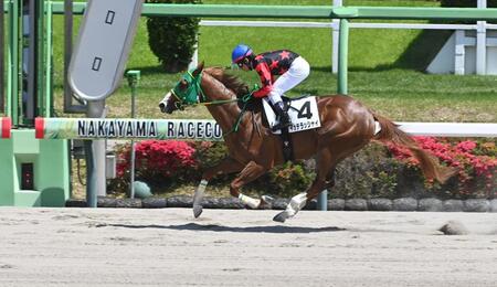 ６Ｒ３歳１勝クラスを勝ったイッテラッシャイ（撮影・持木克友）