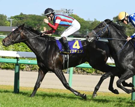 皐月賞を制したロブチェン（撮影・持木克友）