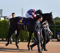 皐月賞を制したロブチェンを労う松山（撮影・持木克友）