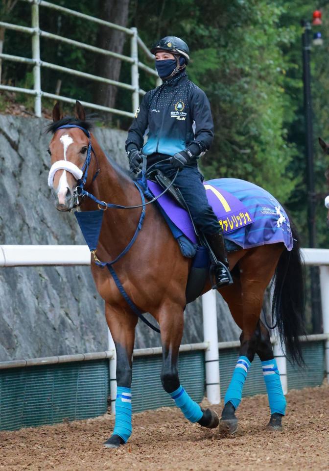 カヴァレリッツォ