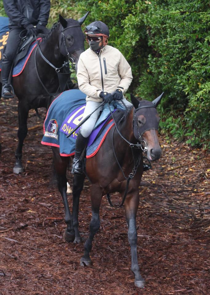 パントルナイーフ