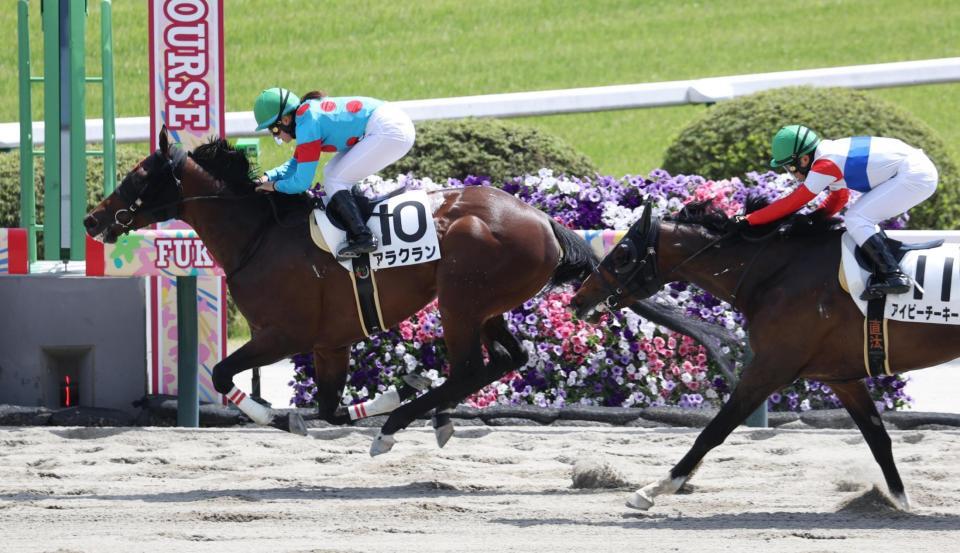 アイビーチーキーを振り切ったアラクラン（左）