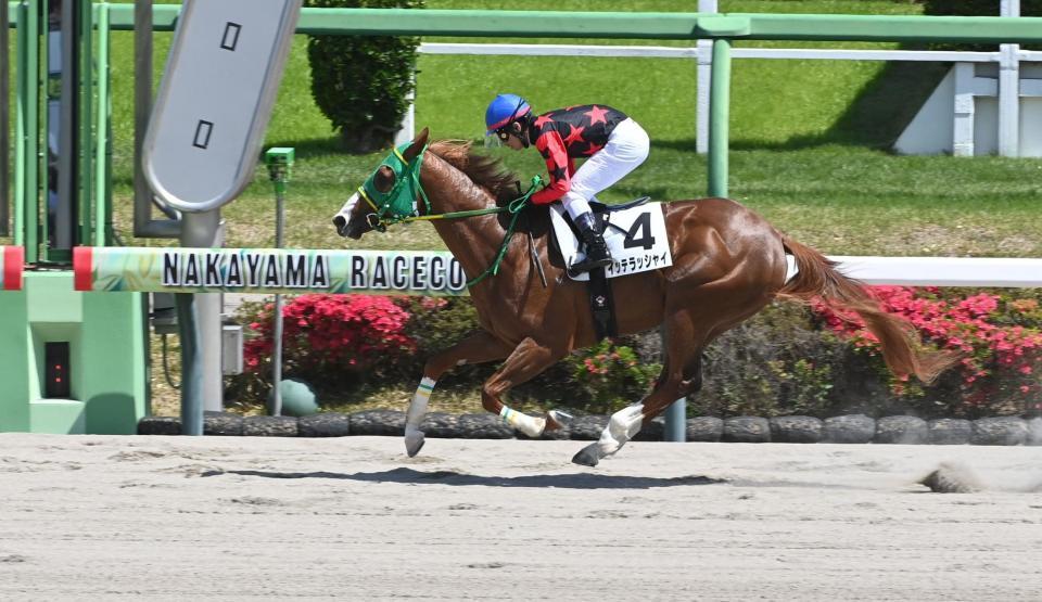 ６Ｒ３歳１勝クラスを勝ったイッテラッシャイ（撮影・持木克友）