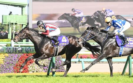皐月賞を制したロブチェン（左