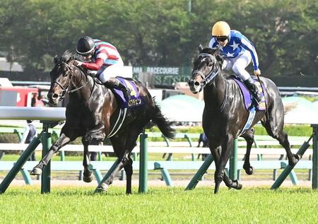 リアライズシリウス（右）とのたたき合いを制したロブチェン