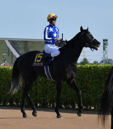 ２着に敗れたリアライズシリウス