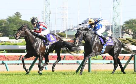 リアライズシリウス（右）とのたたき合いを制したロブチェン