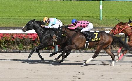 京葉Ｓを制したナムラフランク（左）