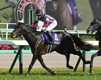 皐月賞を制したロブチェン