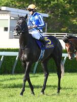 惜しくも２着のリアライズシリウス