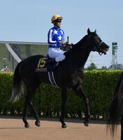 ２着に敗れたリアライズシリウス