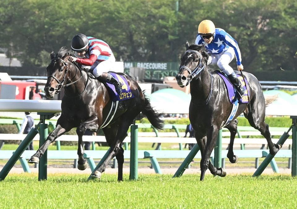 リアライズシリウス（右）とのたたき合いを制したロブチェン