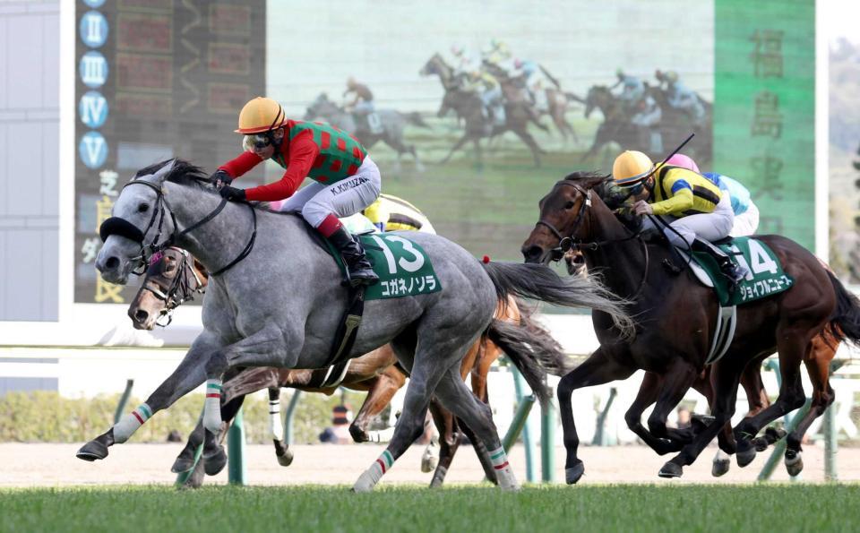 外から突き抜けるコガネノソラ（左）　　